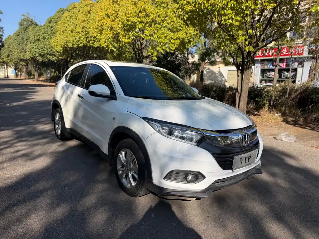Binzhi 2019 1.5L CVT Pioneer Edition National V купить на сайте DeffCars