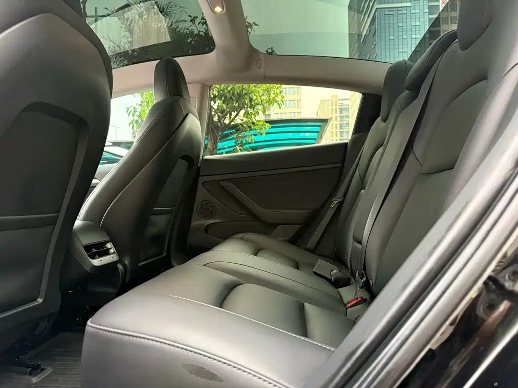 Model 3 2022 rear-wheel drive version купить на сайте DeffCars