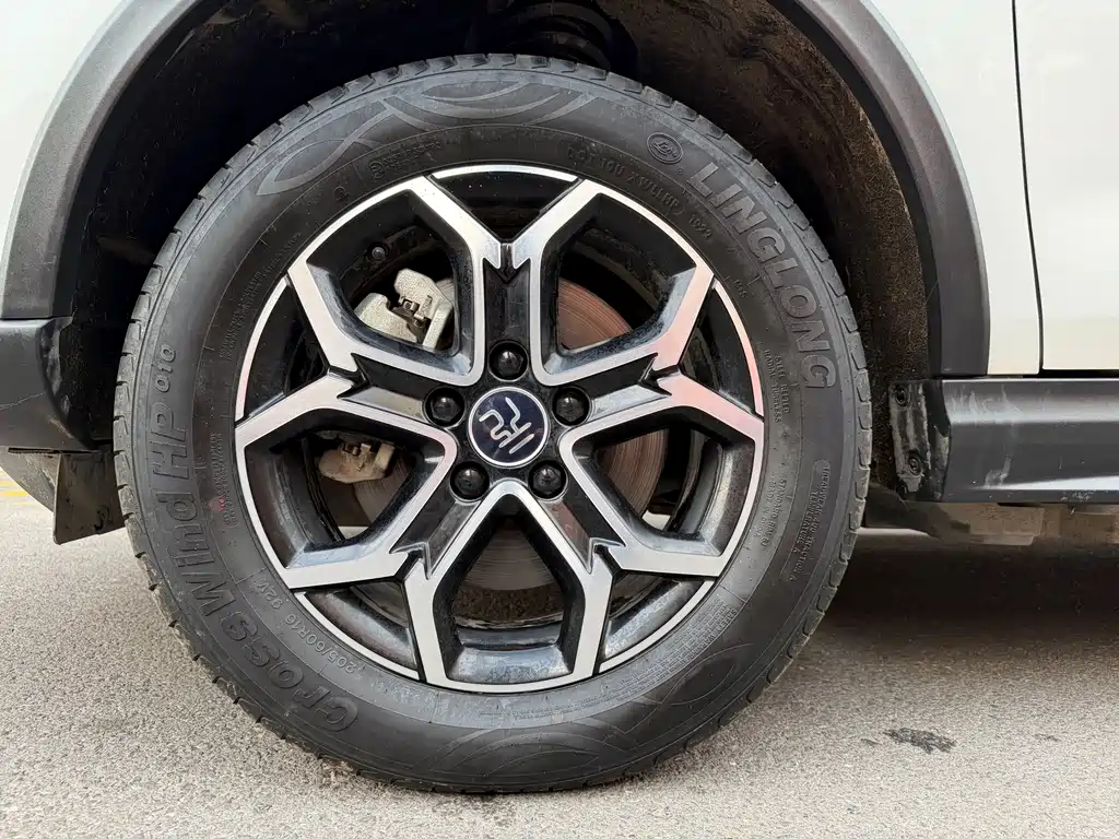 Yuan Pro 2021 must love the Lifetime Edition купить на сайте DeffCars