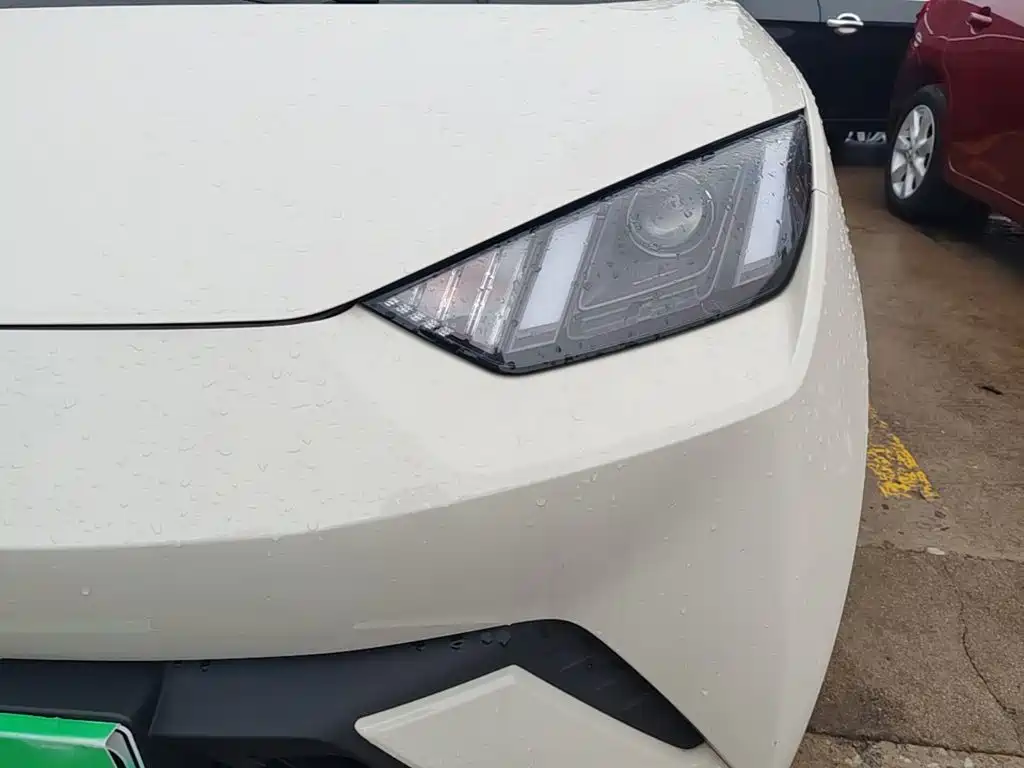 Seagull 2023 Energetic Edition купить на сайте DeffCars