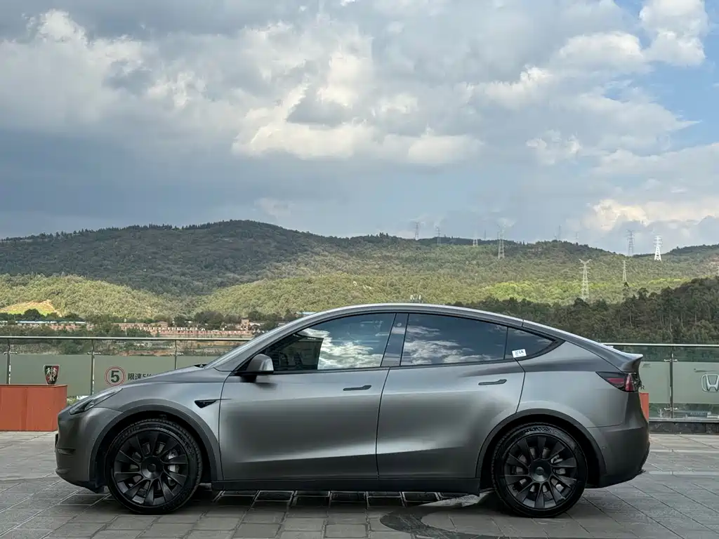 Model Y 2021 standard range rear-wheel drive version купить на сайте DeffCars