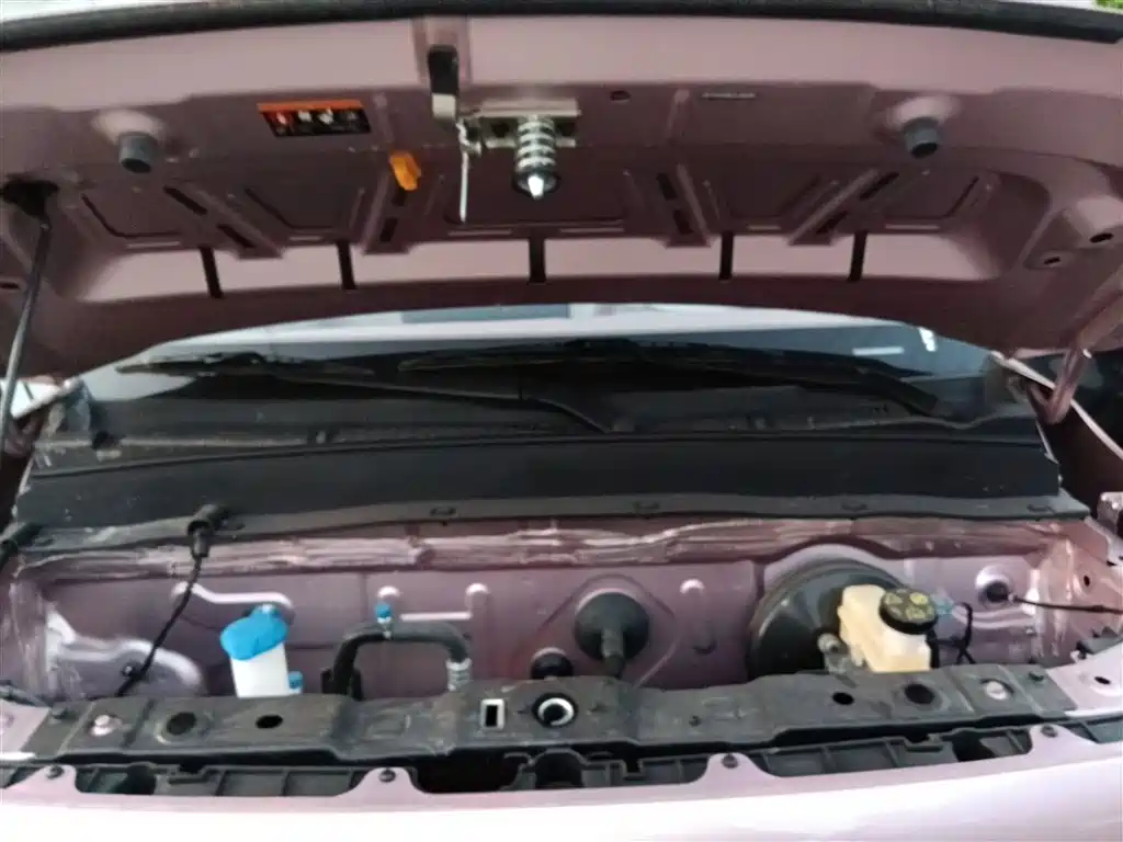 Panda 2025 Panda mini 210km Yuanqi Bear купить на сайте DeffCars