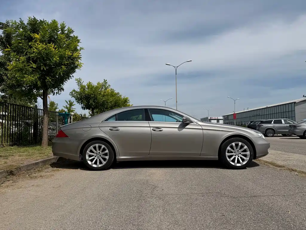 Mercedes-Benz CLS 2009 CLS 300 купить на сайте DeffCars