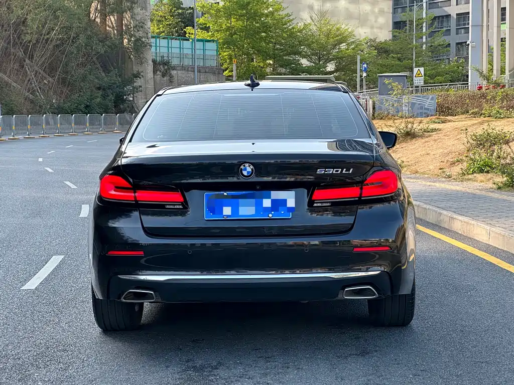 BMW 5 Series 2021 facelift 530Li leading model luxury package купить на сайте DeffCars