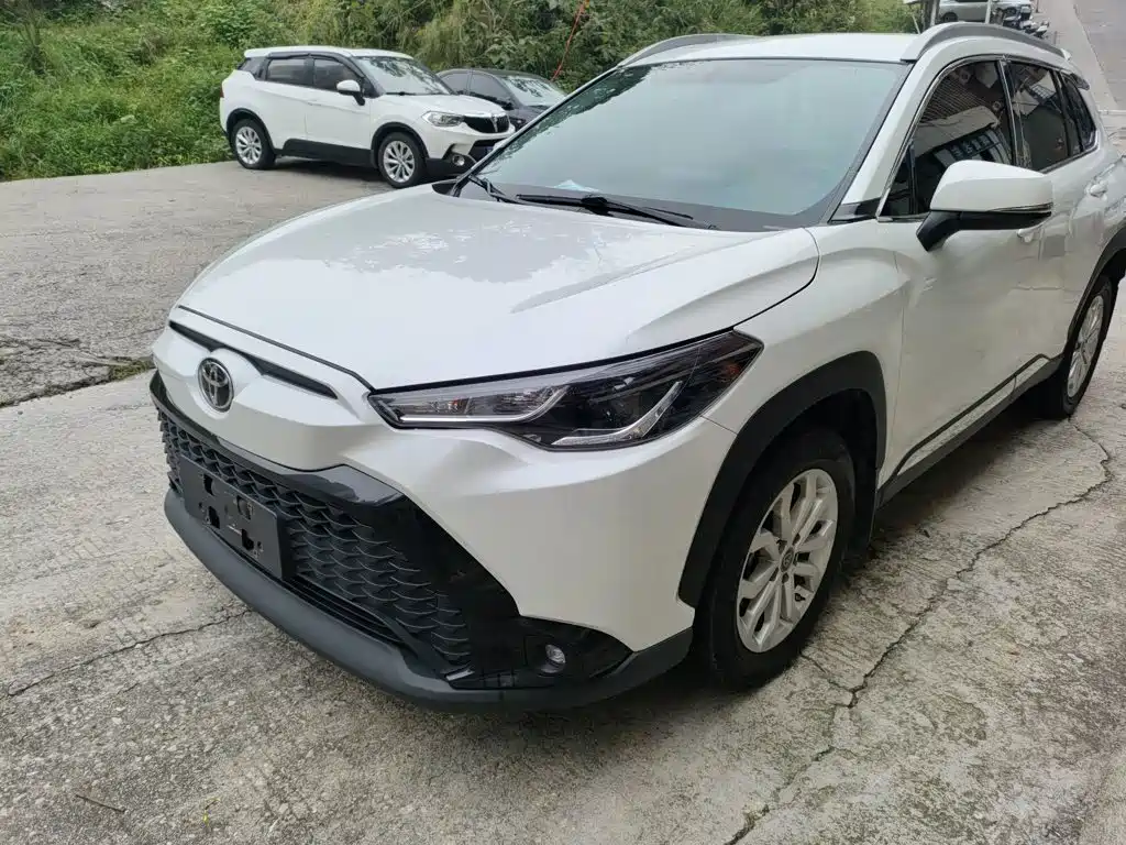 Fenglanda 2022 2.0L CVT Elite Edition купить на сайте DeffCars