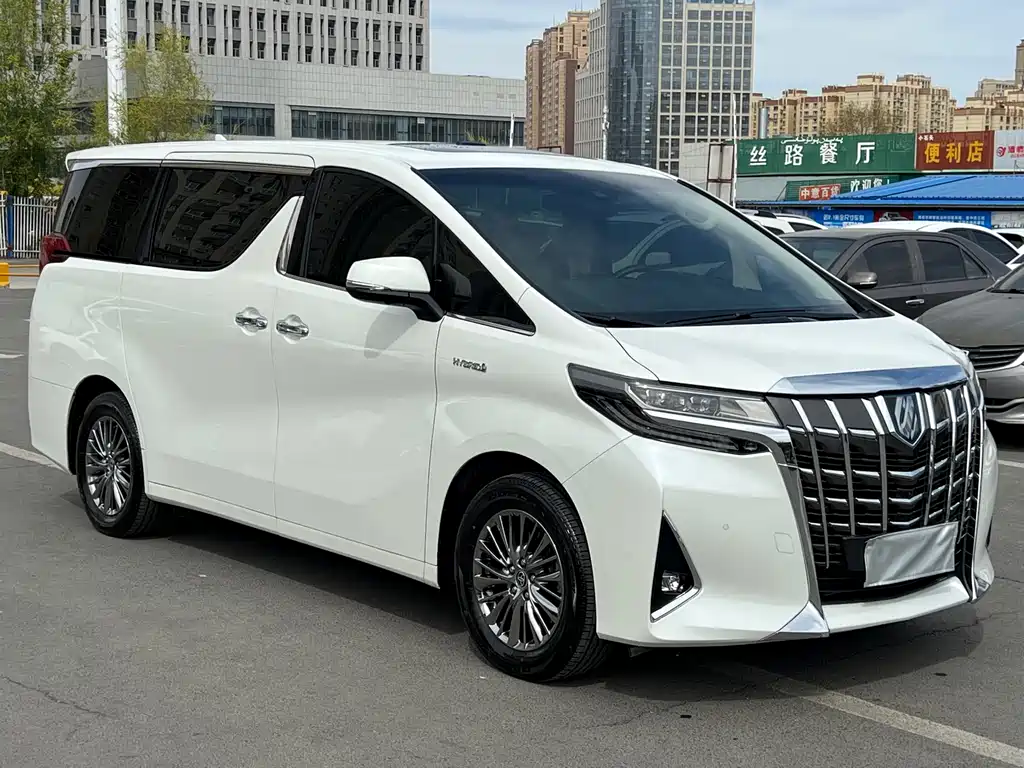 Alfa 2021 Shuangqing 2.5L Premium Edition купить на сайте DeffCars