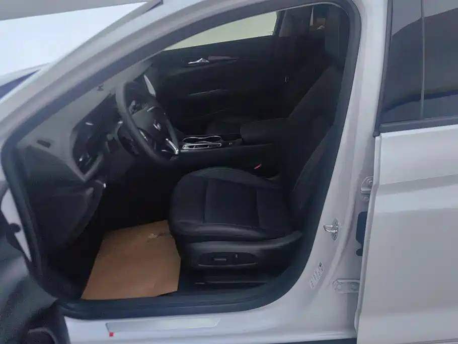 Regal 2024 Modified 25t Premium Edition купить на сайте DeffCars