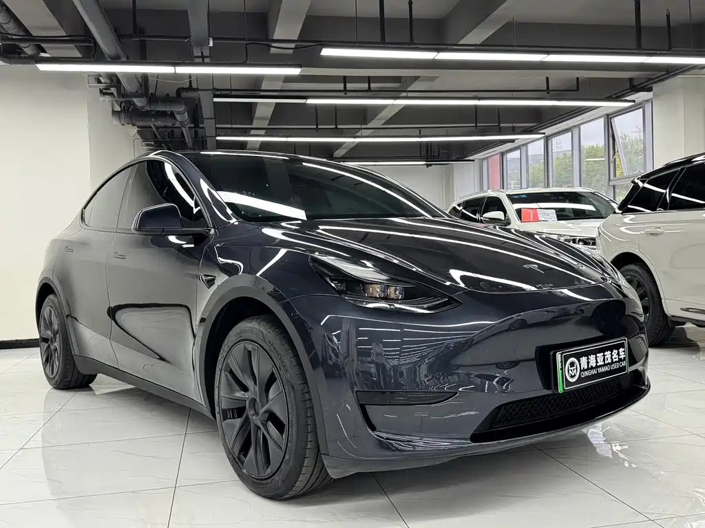 Model Y 2024 rear-wheel drive купить на сайте DeffCars