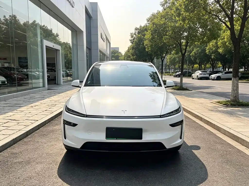 Model Y 2025 rear-wheel drive first edition купить на сайте DeffCars