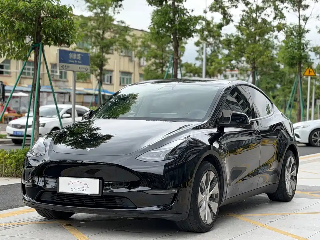Model Y 2021 standard range rear-wheel drive version купить на сайте DeffCars