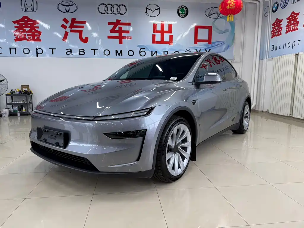 Model Y 2025 long-range all-wheel drive version купить на сайте DeffCars