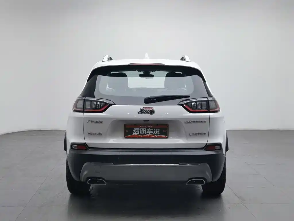 Liberty Light 2019 2.0T four-wheel drive exclusive version, National VI купить на сайте DeffCars