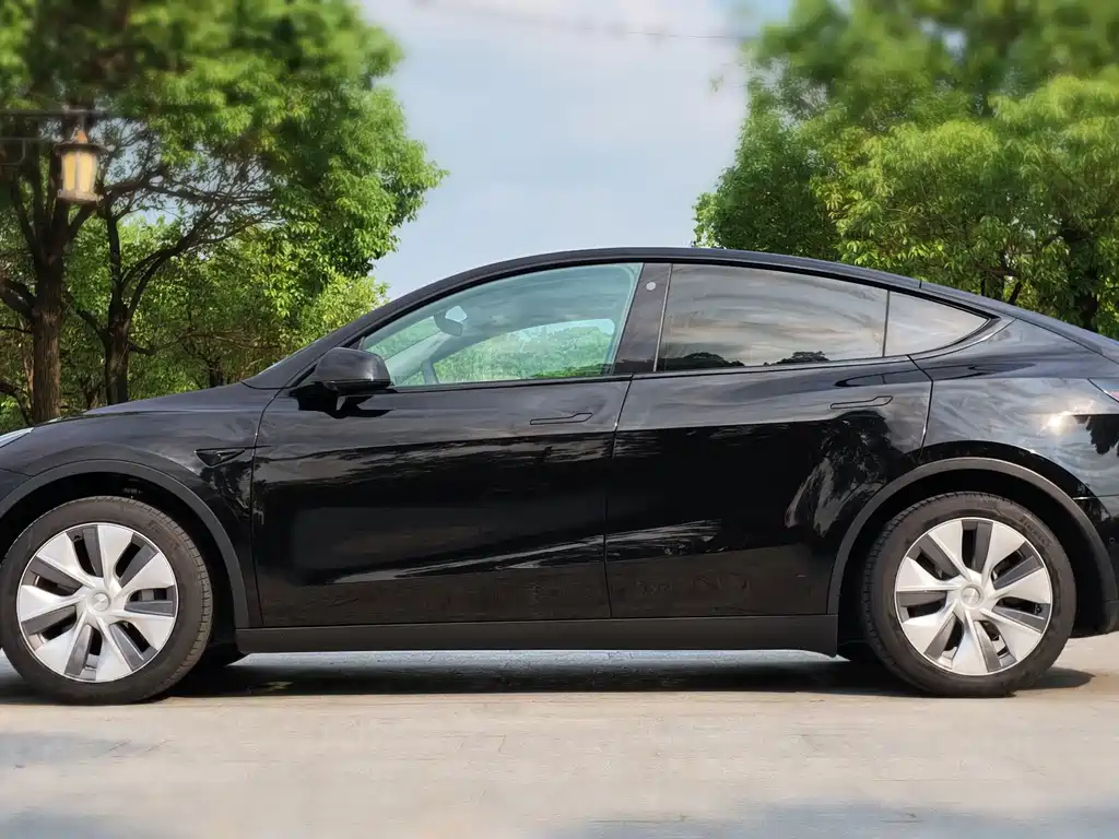 Model Y 2023 rear-wheel drive version купить на сайте DeffCars