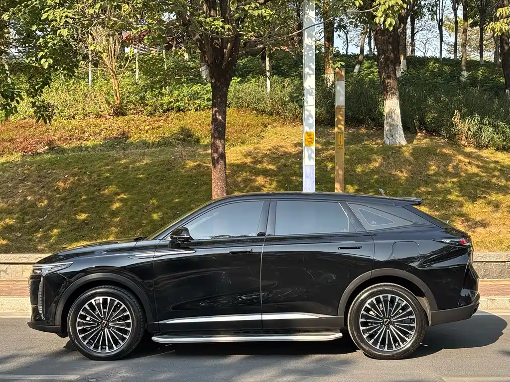 Yaoguang C-DM 2024 1.5T long battery life Pro купить на сайте DeffCars