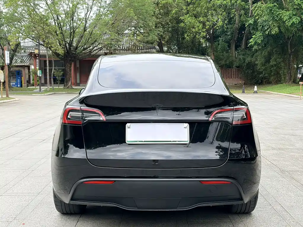 Model Y 2021 standard range rear-wheel drive version купить на сайте DeffCars