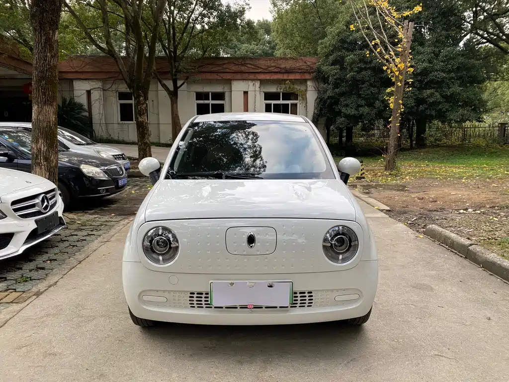 Euler Black Cat 2019 301km Standard Edition купить на сайте DeffCars