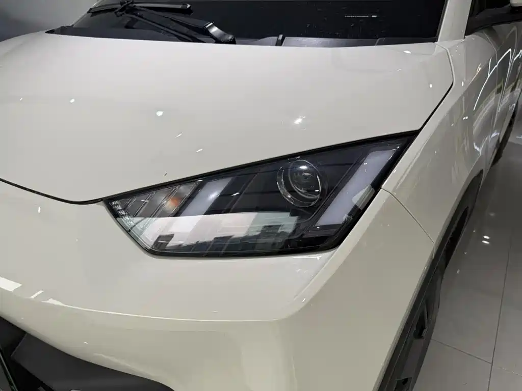 Seagull 2025 305km active version купить на сайте DeffCars