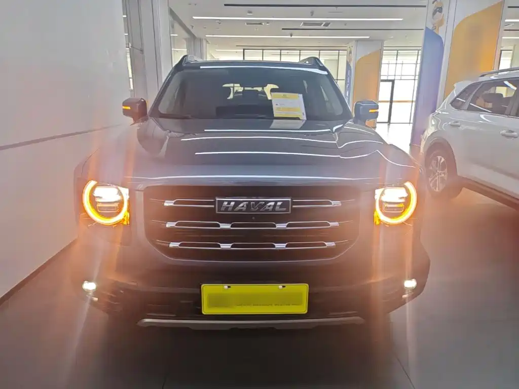 Havaldog 2021 1.5T DCT two-wheel drive Labrador version купить на сайте DeffCars