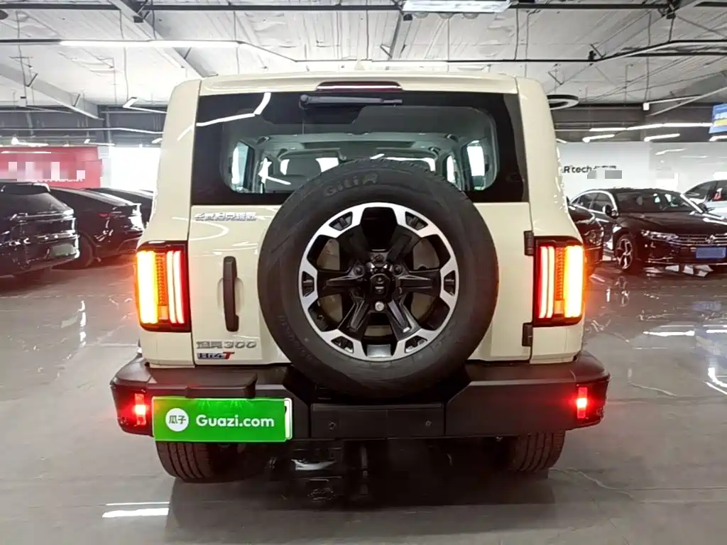 TANK 300 New Energy 2025 Hi4-T 37.1kWh купить на сайте DeffCars