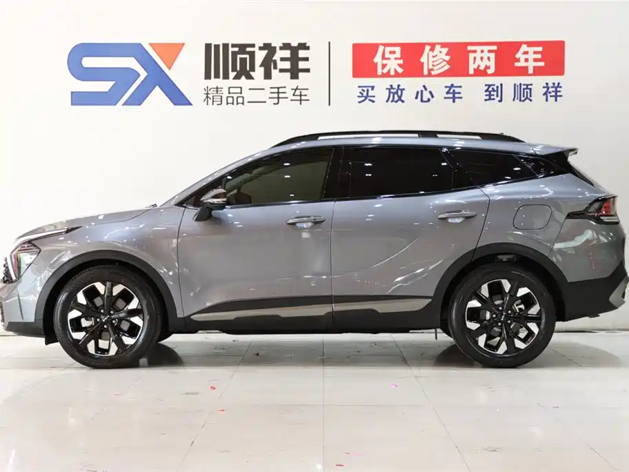 Lion Platinum Extension 2023 2.0T two-wheel drive premium version купить на сайте DeffCars