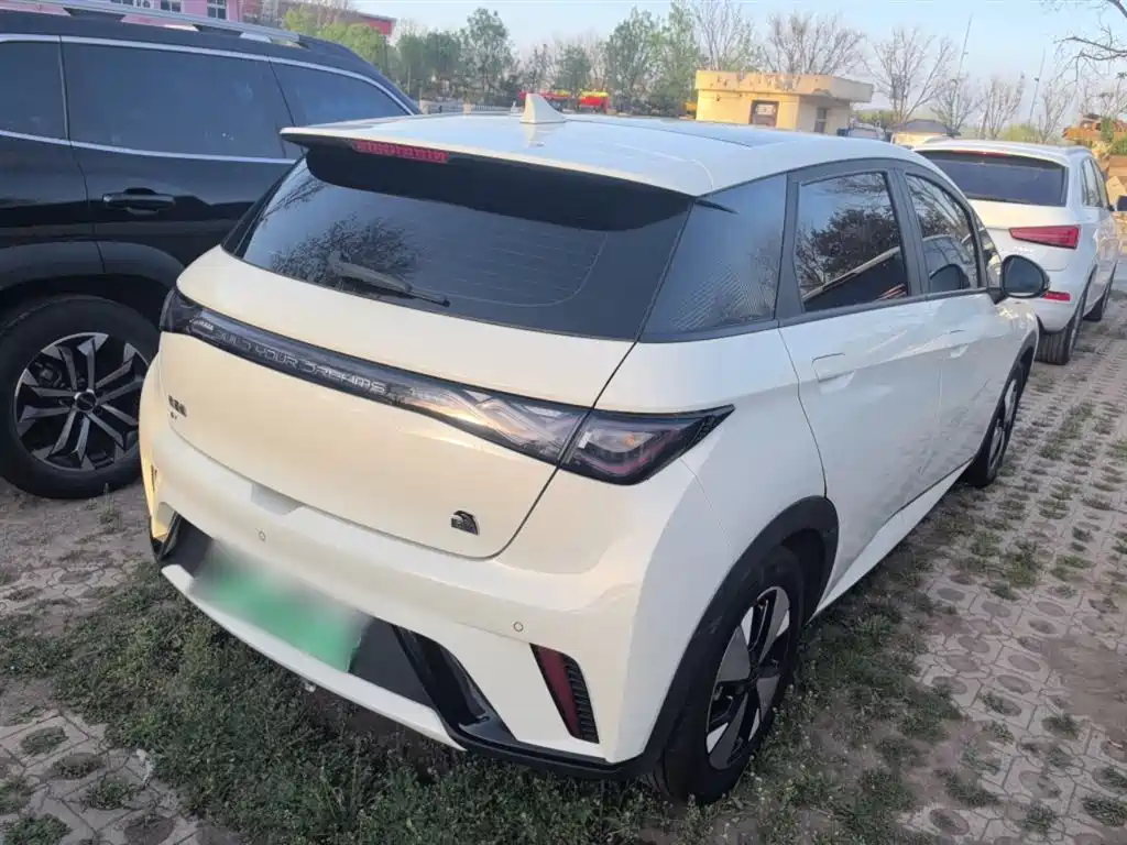 Dolphin 2023 420km Fashion Edition купить на сайте DeffCars