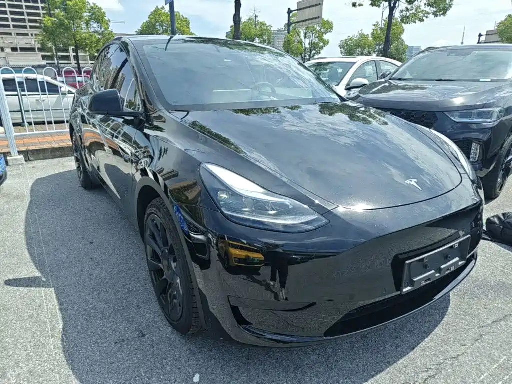 Model Y 2022 rear-wheel drive version купить на сайте DeffCars