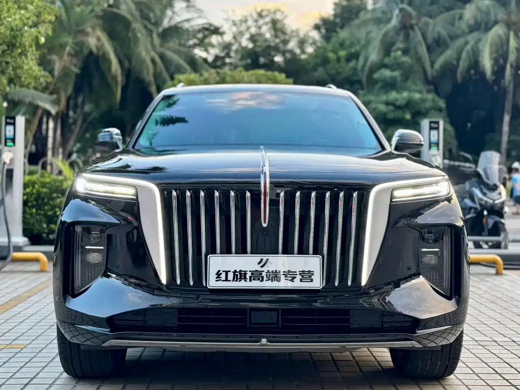 Hongqi E-HS9 2021 model 510km flag collar version four seats купить на сайте DeffCars