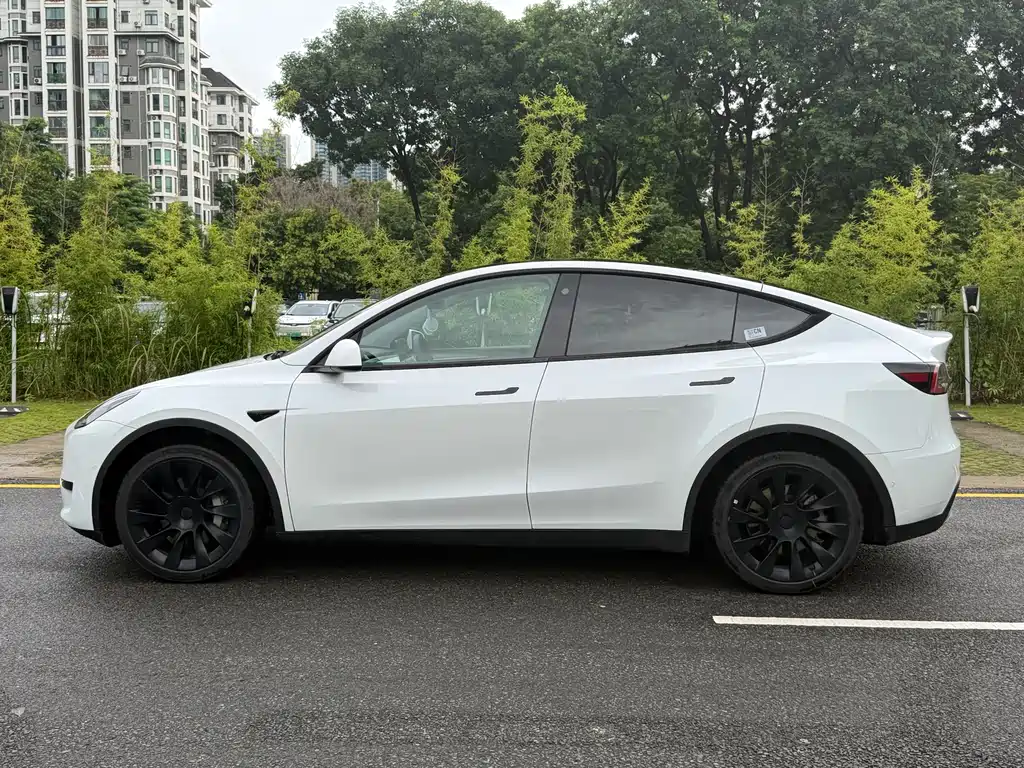 Model Y 2023 rear-wheel drive купить на сайте DeffCars