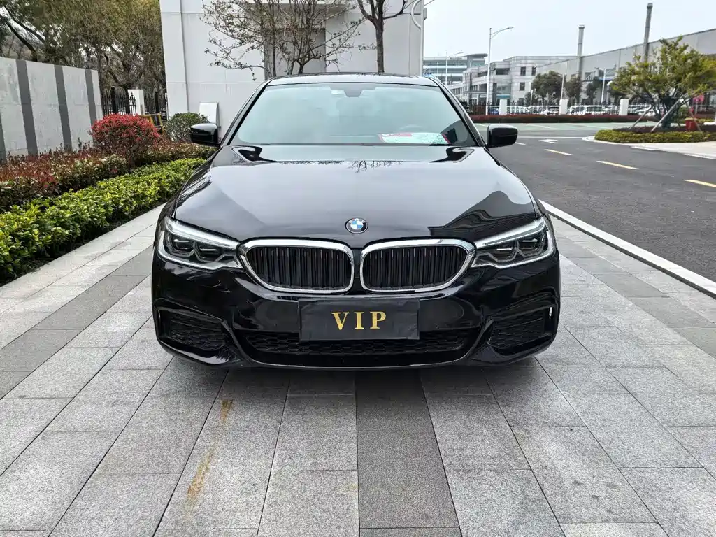 BMW 5 Series 2020 530Li Leading M Sports Package купить на сайте DeffCars