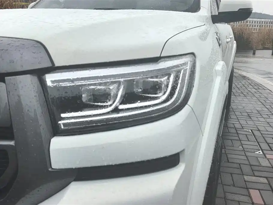 Cannon 2023 2.0T passenger version automatic diesel four-wheel drive comfort type GW4D20M купить на сайте DeffCars