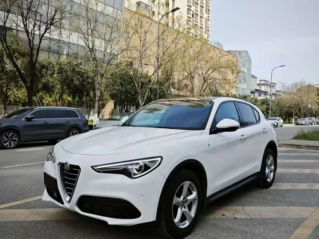Stelvio 2017 2.0T 200HP Elite Edition купить на сайте DeffCars