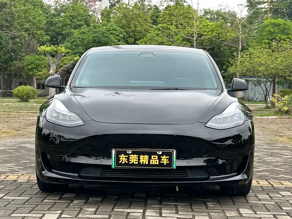 Model 3 2021 standard range rear drive upgraded version 3D6 купить на сайте DeffCars