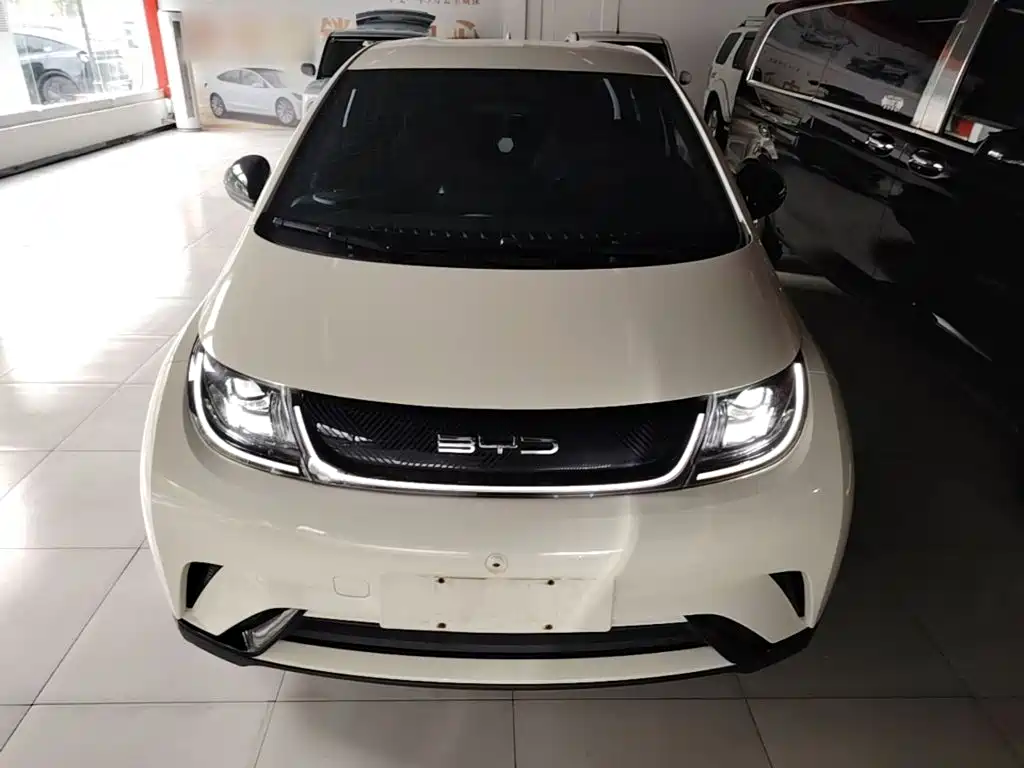 Dolphin 2023 420km Free Edition купить на сайте DeffCars