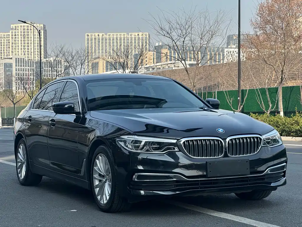 BMW 5 Series 2020 530Li Leading Luxury Package купить на сайте DeffCars