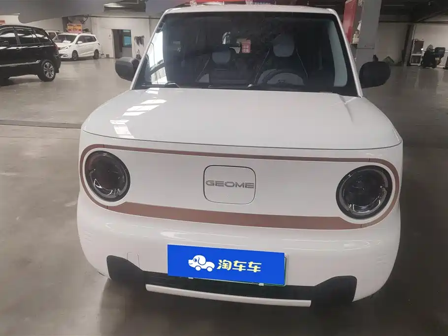 Panda 2024 Panda mini 200km endurance bear купить на сайте DeffCars