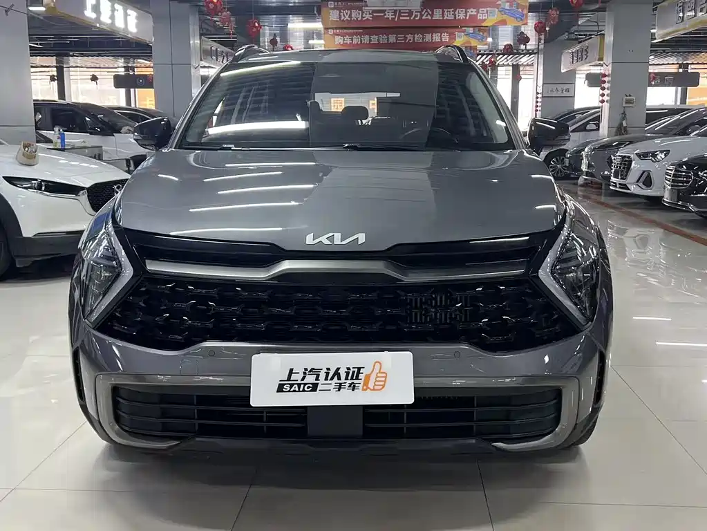 Lion Platinum Extends the World 2023 2.0T Two-wheel Drive Premium Edition купить на сайте DeffCars