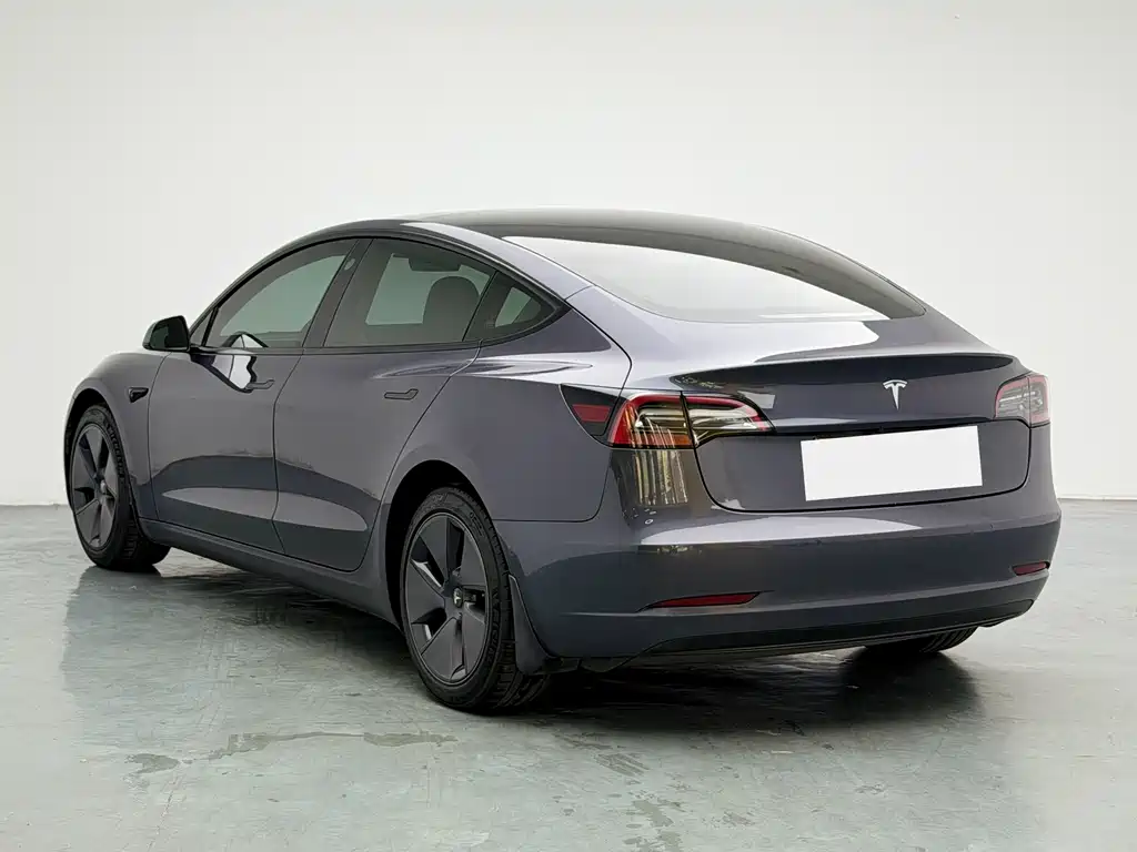 Model 3 2022 rear-wheel drive version купить на сайте DeffCars