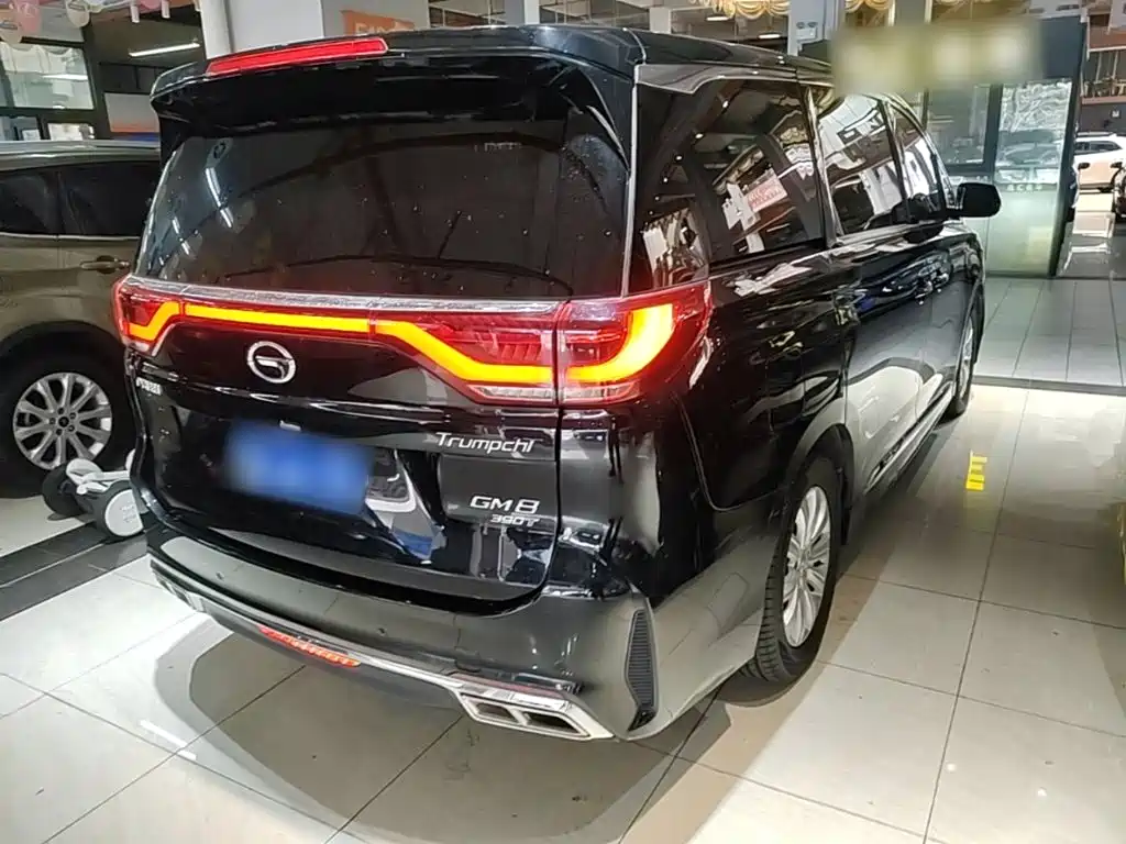 Trumpchi M8 2020 Pilot Model 390T Exclusive Edition купить на сайте DeffCars