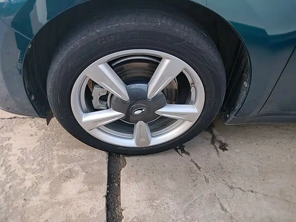 Euler Good Cat 2021 model 400km standard battery life Venus version ternary lithium купить на сайте DeffCars