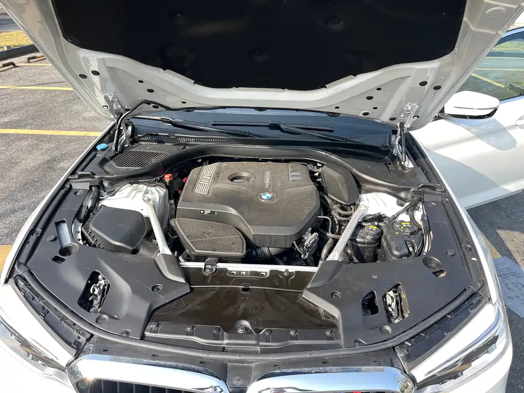 BMW 5 Series 2020 530Li Leading M Sports Package купить на сайте DeffCars