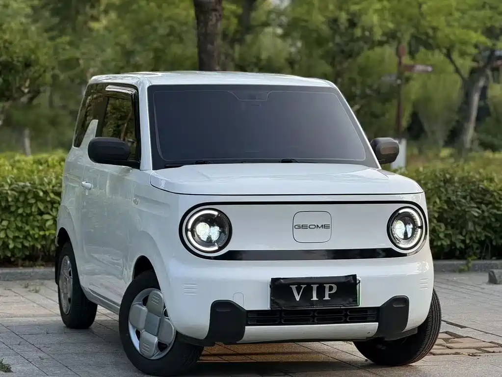 Panda (Geome) 2024 mini 200km Endurance Bear купить на сайте DeffCars
