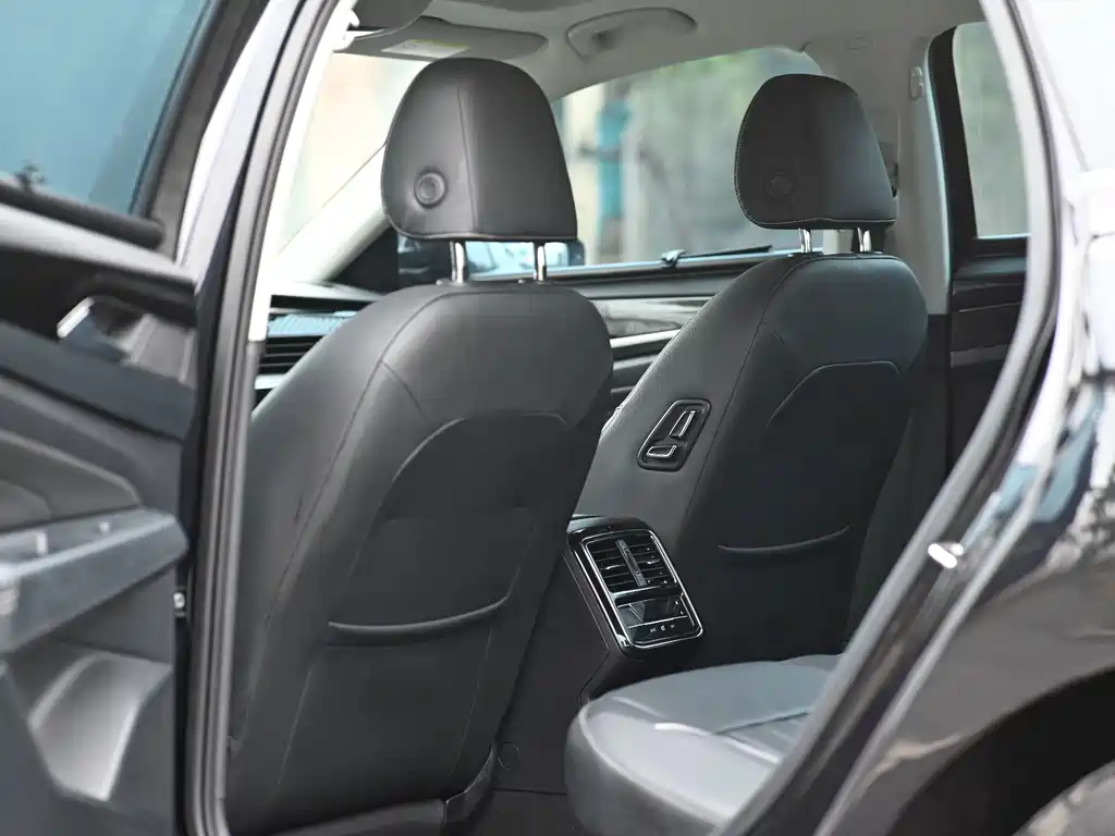 Passat 2023 330TSI Starry Sky Elite Edition купить на сайте DeffCars