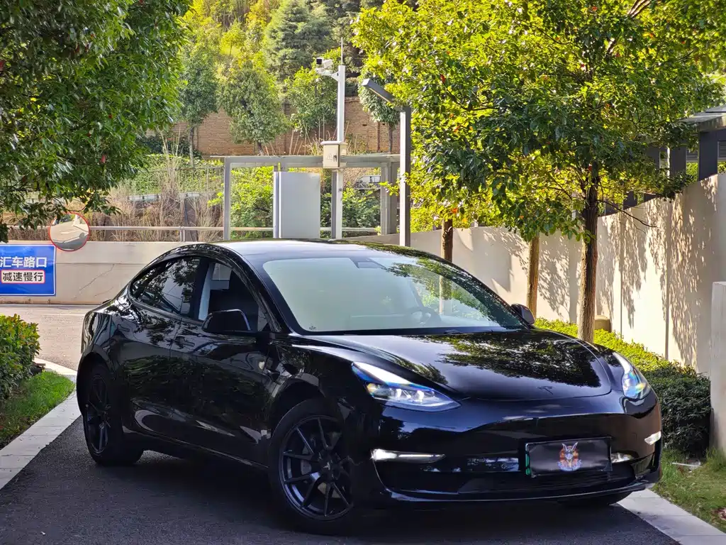 Model 3 2021 Standard Range Rear Drive Upgraded 3D6 купить на сайте DeffCars