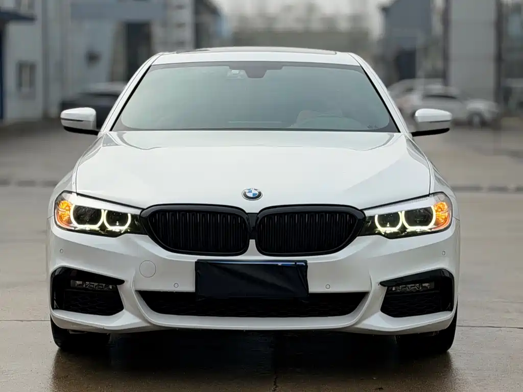 BMW 5 Series 2019 530Li Leading M Sports Package купить на сайте DeffCars