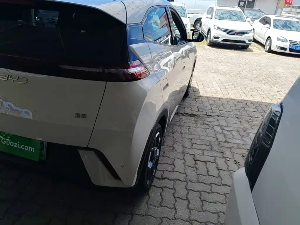 Seagull 2025 305km Free Edition купить на сайте DeffCars