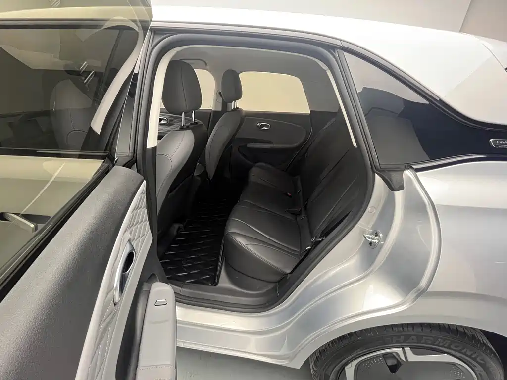 Nano 01 2024 Renewed Version 330 Plus Smart+ купить на сайте DeffCars