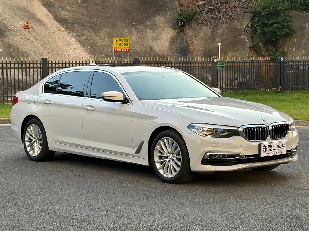 BMW 5 Series 2019 530Li Leading Luxury Package купить на сайте DeffCars