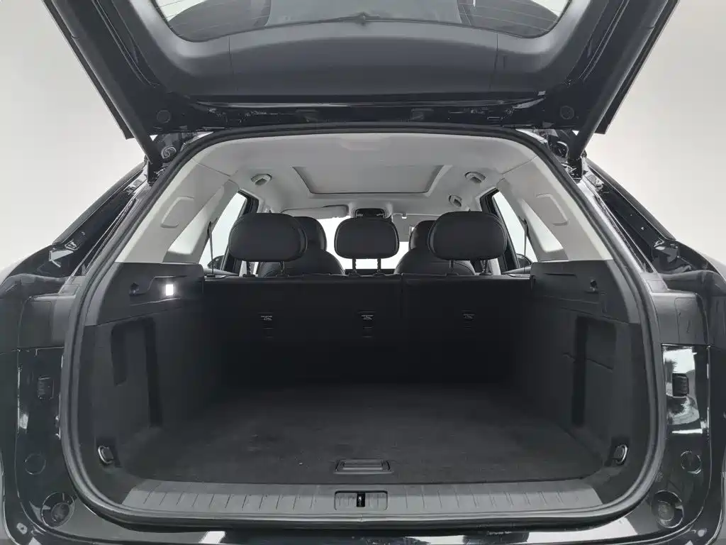Fengyun T9 2024 model 120 long endurance version comfortable 5 seats ternary lithium купить на сайте DeffCars