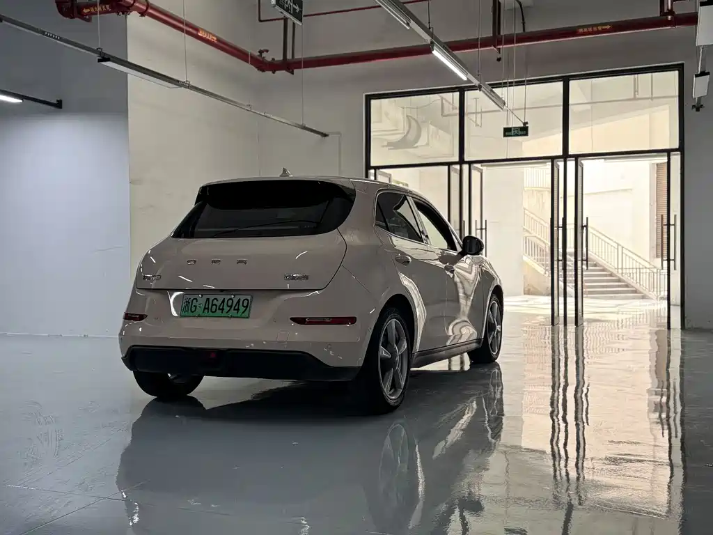 Euler Good Cat 2021 model 400km standard battery life Venus version ternary lithium купить на сайте DeffCars