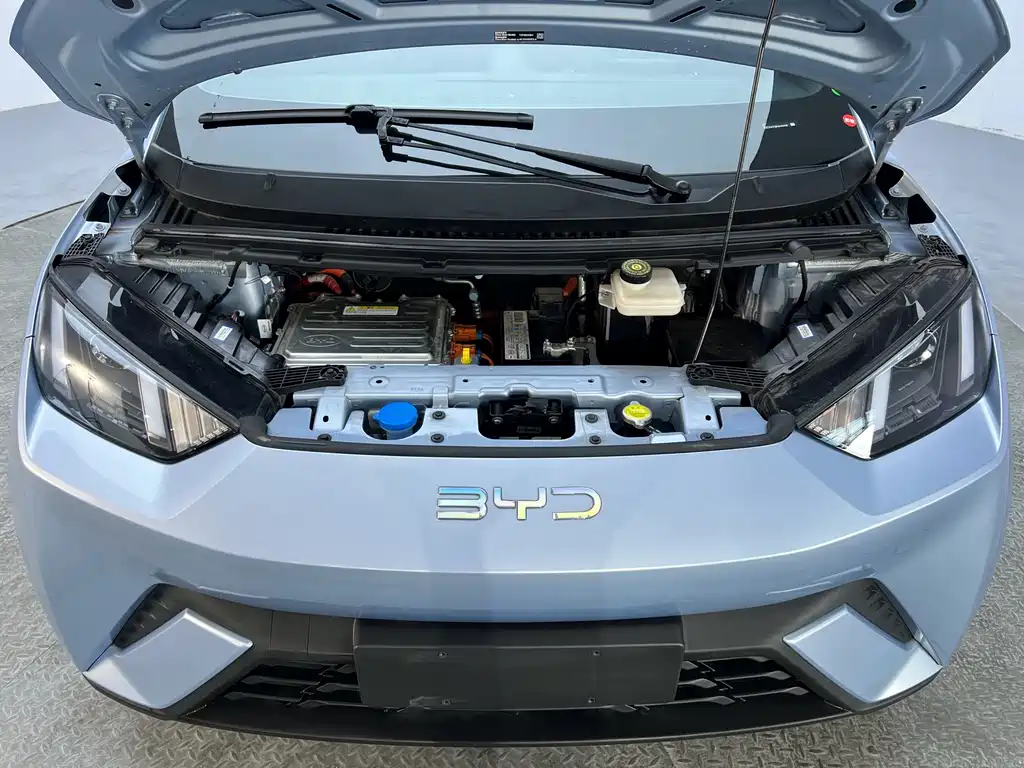 Seagull 2024 Honor Edition 305km Vitality Edition купить на сайте DeffCars